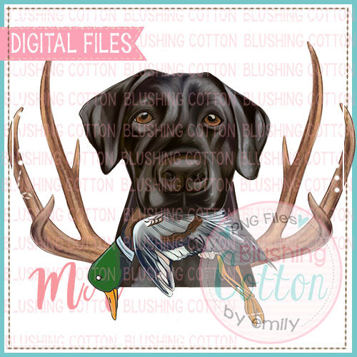 Chocolate Lab Holding Duck With Antlers Design   BCMA