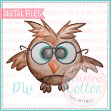 Load image into Gallery viewer, SMART OWL WATERCOLOR PNG