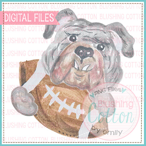 Bulldog Grey Face Holding Football Watercolor PNG BC