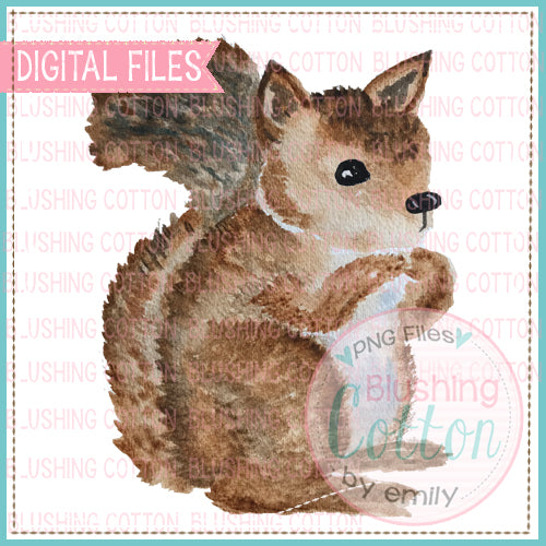 SQUIRREL WATERCOLOR DESIGN PNG BC