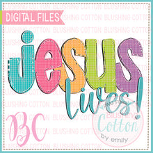 Load image into Gallery viewer, JESUS LIVES    BCBC