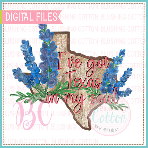 TEXAS IN MY SOUL BLUEBONNETS  BCBC
