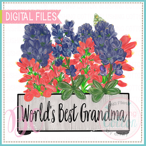 WORLD'S BEST GRANDMA WILDFLOWER BOUQUET  BCBC