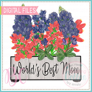WORLD'S BEST MOM WILDFLOWER BOUQUET  BCBC