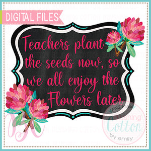 TEACHERS PLANT SEEDS SO WE CAN ENJOY FLOWERS   BCBC