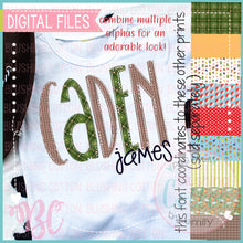 Load image into Gallery viewer, BROWN AND TAN GINGHAM CHECK SLIM ALPHA BUNDLE   BCBC