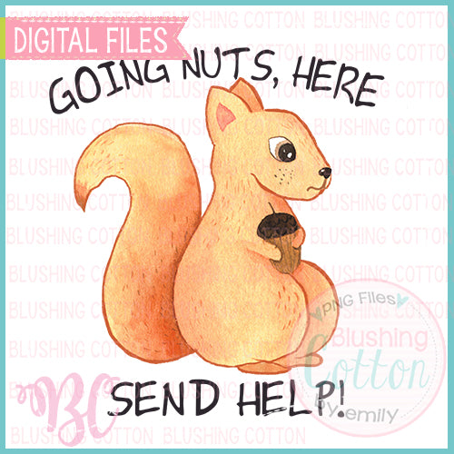 GOING NUTS SEND HELP CRAZY SQUIRREL DESIGN   BCBC