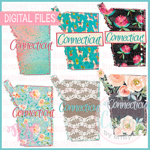 FLORAL STATE BUNDLE CONNECTICUT   BCBC