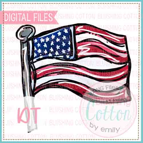 USA Flag Design    BCDT