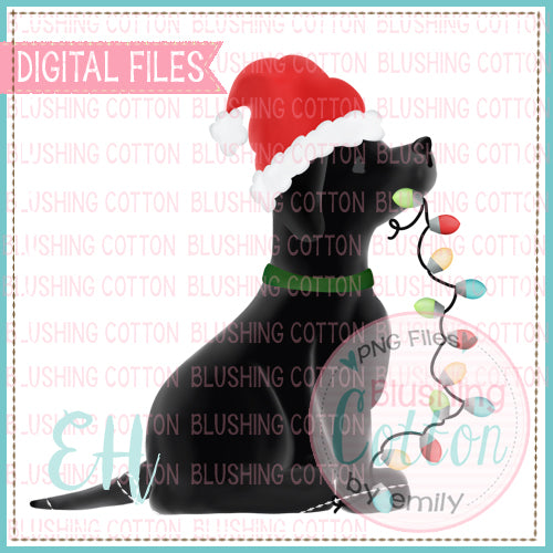 BLACK LAB SANTA WITH LIGHTS - BCEH