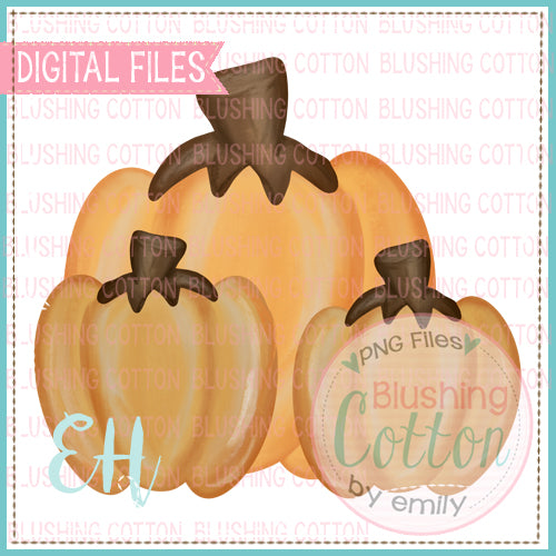 Chunky Pumpkins Design   BCEH