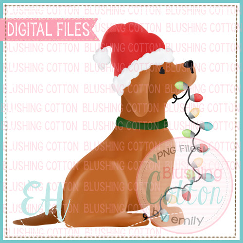 COPPER DOG SANTA WITH LIGHTS - BCEH