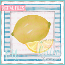 Load image into Gallery viewer, LEMON SLICE STRIPE SQUARE BACKGROUND DESIGN   BCEH