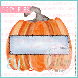 PUMPKIN WITH STITCHED FRAME BCEH