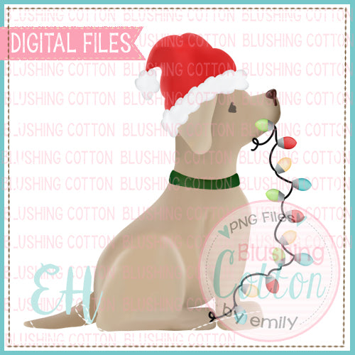 YELLOW LAB SANTA WITH LIGHTS - BCEH