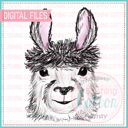 SKETCHY LLAMA WATERCOLOR ART