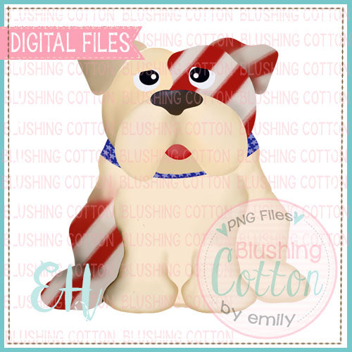 RED AND WHITE STRIPES BULLDOG   BCEH