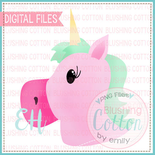 PINK AND GREEN UNICORN  BCEH