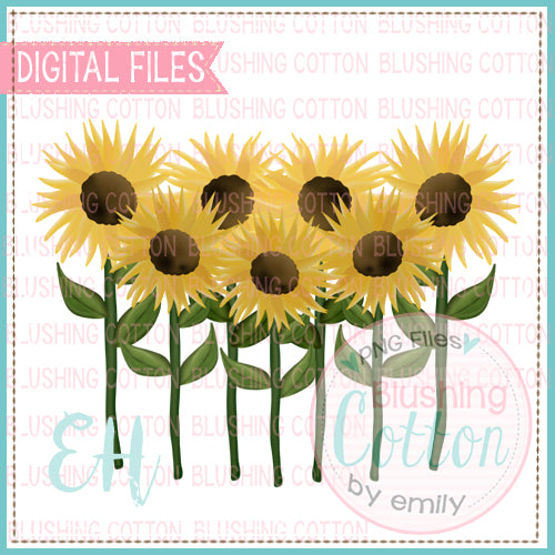 SUNFLOWER ROWS DESIGN BCEH