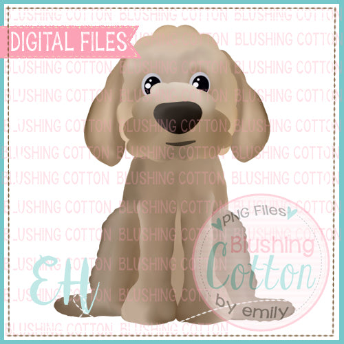 SAMUEL GOLDEN DOODLE DESIGN BCEH