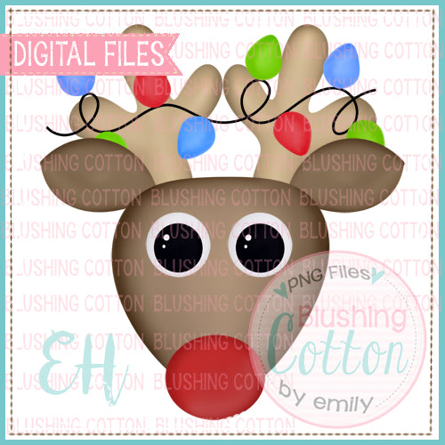 EXCITED REDNOSE REINDEER BOY WITH LIGHTS  BCEH