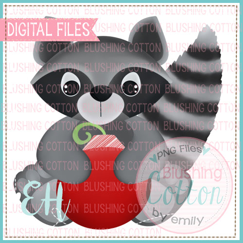 BANDIT RACCOON WITH ORNAMENT - BCEH