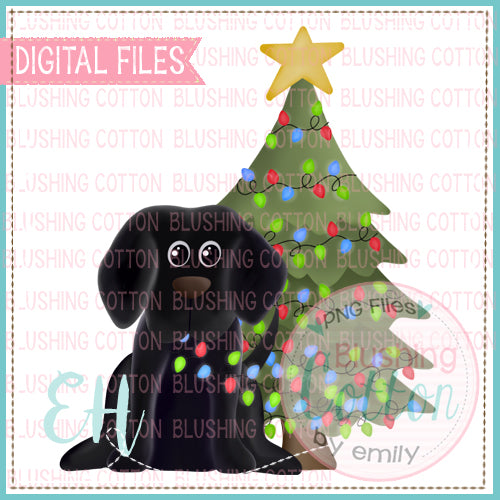 BLAZE BLACK LAB FOR CHRISTMAS - BCEH