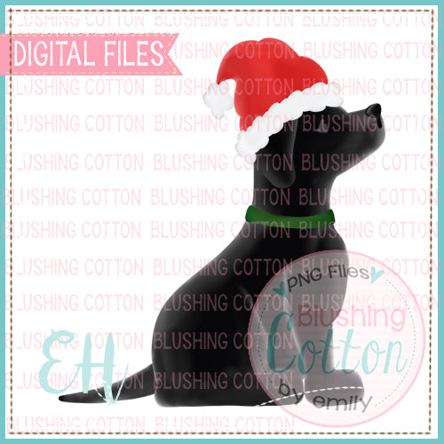 BLACK LAB SANTA  BCEH