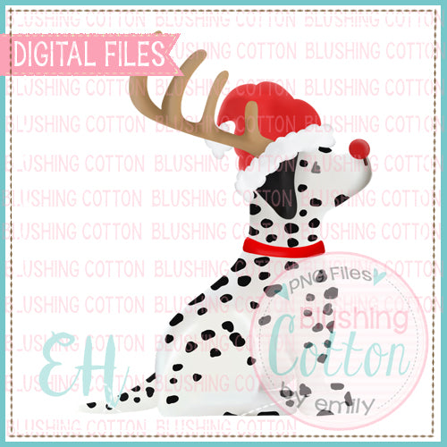 DALMATION SANTA  BCEH