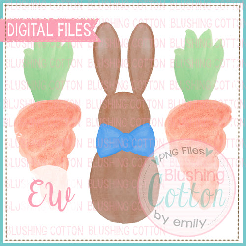 BOY BUNNY AND CARROTS WATERCOLOR DESIGN BCEW