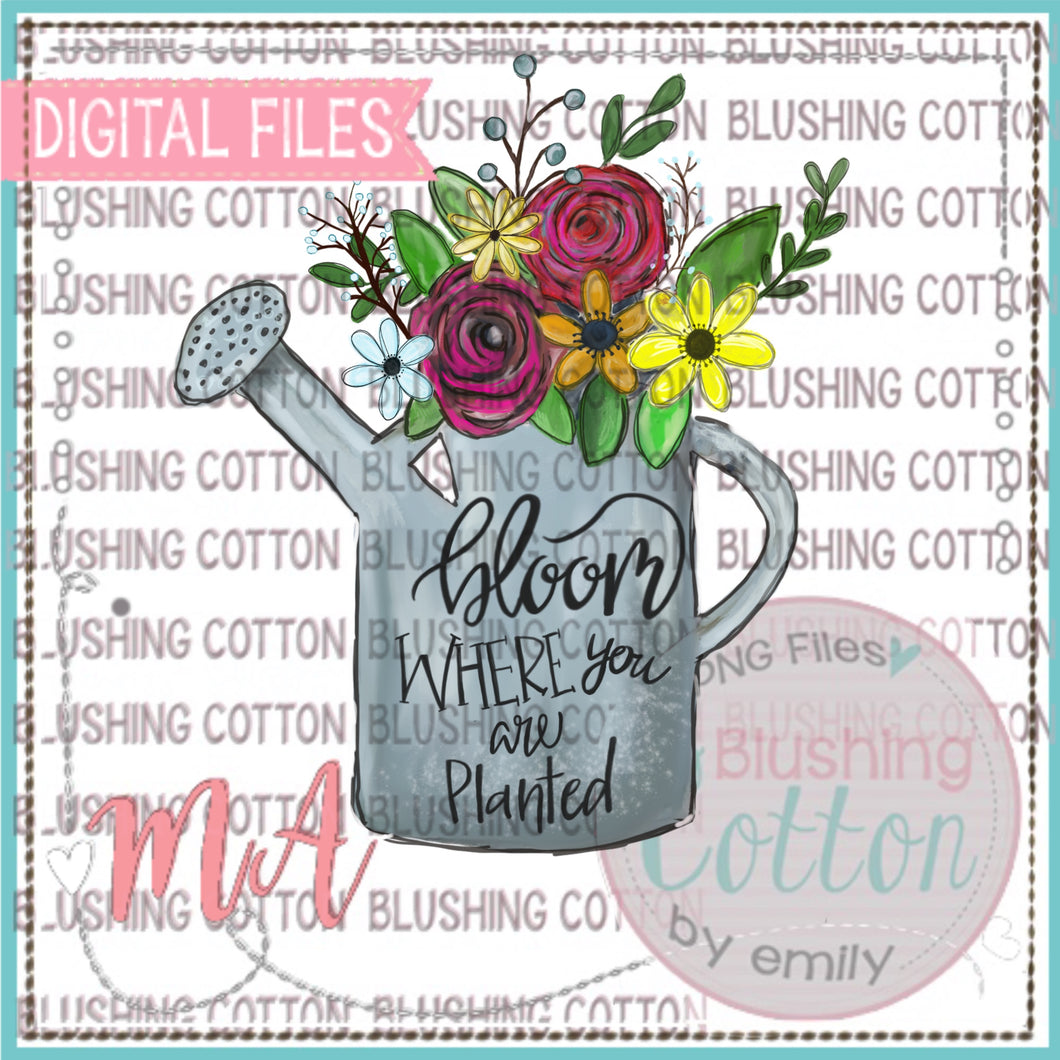 BLOOM WHERE YOU ARE PLANTED   BCMA