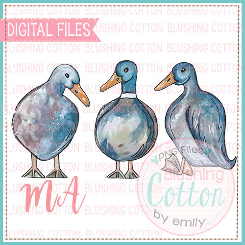 DUCK TRIO DESIGN   BCMA