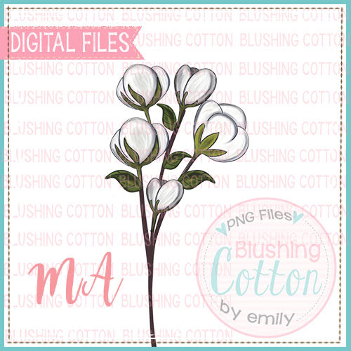 Cotton Bundle Design   BCMA