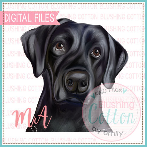 Black Labrador Design    BCMA