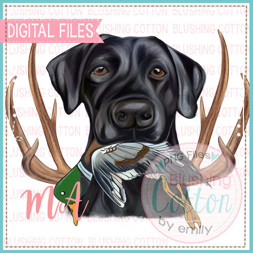 Black Lab Holding Duck With Antlers Design   BCMA
