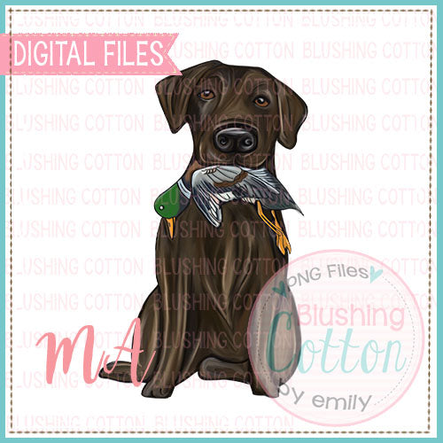 Chocolate Labrador Design   BCMA