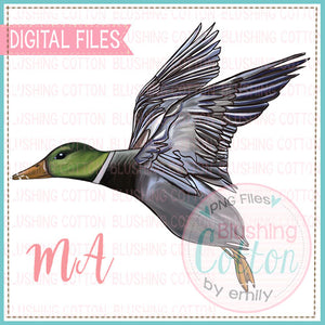 Duck Version 3 Design   BCMA