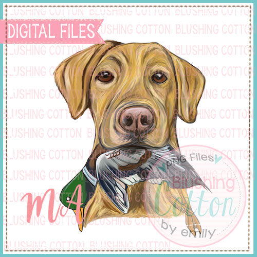 Yellow Lab With Duck Watercolor PNG Design   BCMA