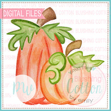 Load image into Gallery viewer, 2 PERFECT PUMPKINS WATERCOLOR ART PNG