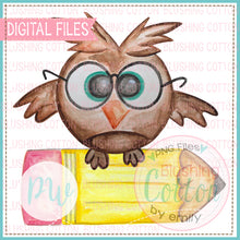 Load image into Gallery viewer, SMART OWL ON PENCIL WATERCOLOR PNG