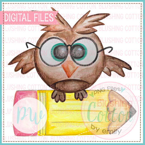 SMART OWL ON PENCIL WATERCOLOR PNG