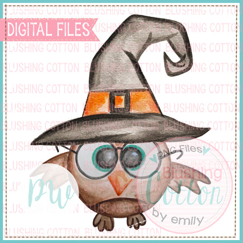 SMART OWL WITCH HAT WATERCOLOR ART PNG