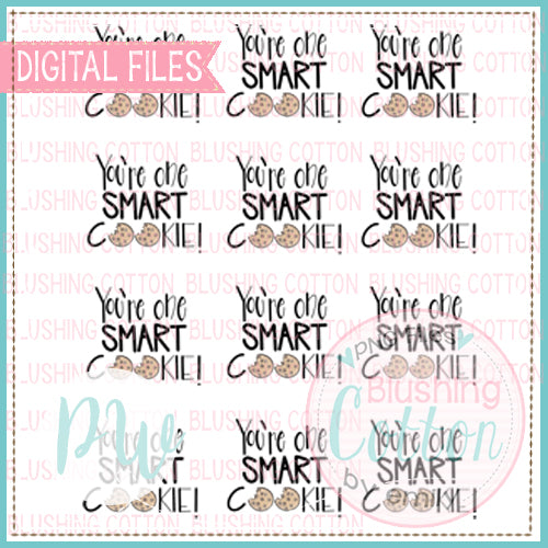 ONE SMART COOKIE PRINTABLE TAGS DESIGN BCPW