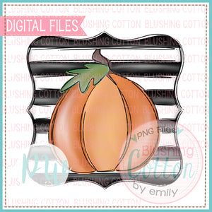 PUMPKIN WITH BLACK AND WHITE STRIPED BACKGROUND   BCPW