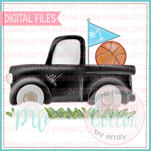BASKETBALL TRUCK BLACK AND BABY BLUE   BCPW