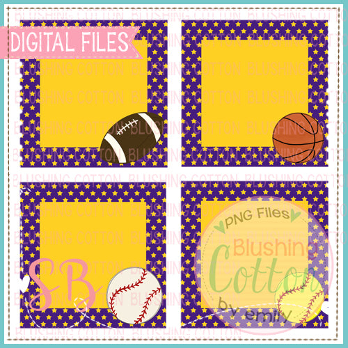 PURPLE AND GOLD  STAR SPORTS FRAME BUNDLE BCSB