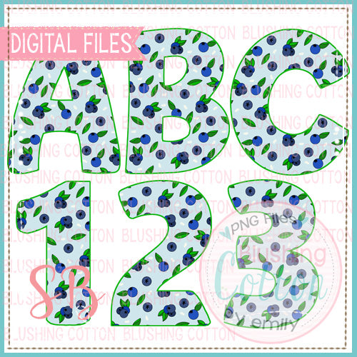 BLUEBERRY ALPHA AND NUMBER BUNDLE  BCSB