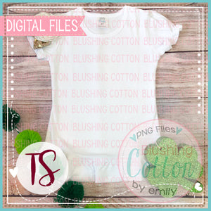 ARB SHORT SLEEVE RUFFLE TOP WITH ST PATRICKS DAY ACCENT FLAT LAYS BCTS