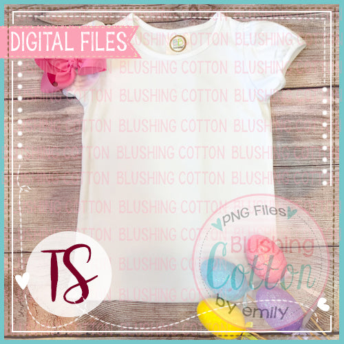 BB BLANKS SHORT SLEEVE TOP WITH EASTER ACCENTS FLAT LAY BCTS