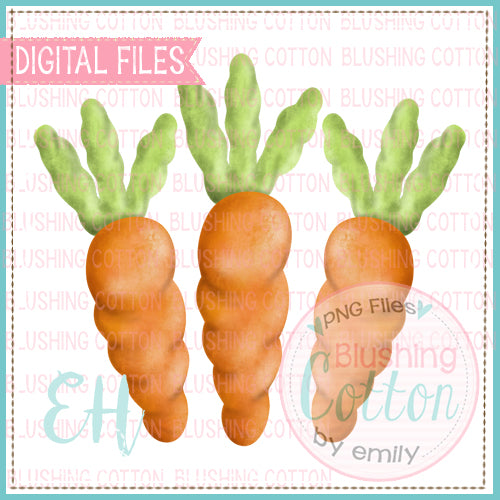 Wobbly Carrot Trio PNG Watercolor Design    BCEH